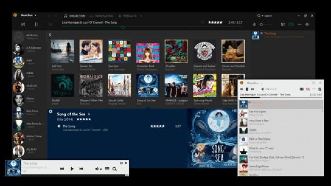 10 Best Music Player Software For Windows Appginger